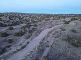 TBD Fort Defina Road - Photo 14