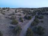 TBD Fort Defina Road - Photo 16