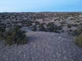 TBD Fort Defina Road - Photo 19