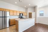4362 San Benito Street - Photo 9