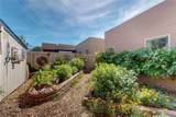 4210 Luz De Estrella - Photo 22