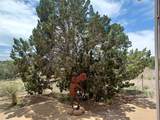 64 Coyote Trail - Photo 44