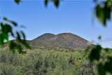 227 Rodriguez - Photo 38