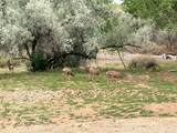 18 Calle Capulin - Photo 5