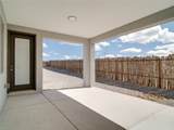 3305 Zinnia Lane - Photo 31