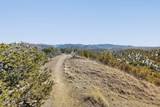 487 Nm-592 Lot 1 - Photo 7