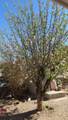 47 Private Drive 1521 - Photo 45