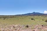 Lot #3 Las Animas De Abiquiu - Photo 8