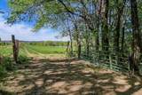 TBD County Rd 56 - Photo 11
