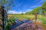 TBD County Rd 56 - Photo 2