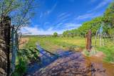 TBD County Rd 56 - Photo 5