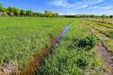 TBD County Rd 56 - Photo 6