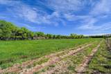 TBD County Rd 56 - Photo 7