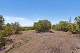 91 Cerro Alto Road - Photo 42