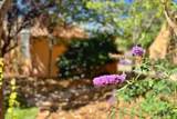 951 Camino Santander - Photo 41