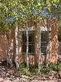 951 Camino Santander - Photo 47