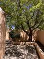 951 Camino Santander - Photo 71