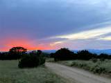 32 Two Horse Trail - Photo 57