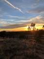 32 Two Horse Trail - Photo 58