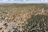 TBD 83 Acres - Photo 10