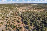 TBD 83 Acres - Photo 7