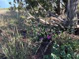 65 Grenfell Ranch - Photo 11