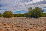 65 Grenfell Ranch - Photo 14
