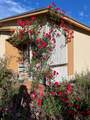 2655 Calle Primavera - Photo 5