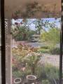 2655 Calle Primavera - Photo 8