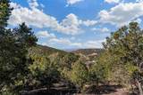 3300 El Paseo - Photo 1