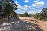 3300 El Paseo - Photo 18