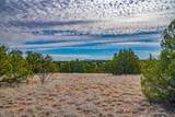 49/65 Blue Agave/Grenfell Ranch - Photo 12