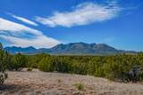 49/65 Blue Agave/Grenfell Ranch - Photo 14