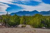 49/65 Blue Agave/Grenfell Ranch - Photo 15