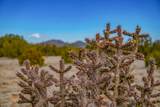 49/65 Blue Agave/Grenfell Ranch - Photo 21