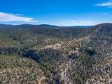 3.5 Acre Lot Camino Del Canon - Photo 1