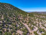 3.5 Acre Lot Camino Del Canon - Photo 12