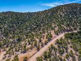 3.5 Acre Lot Camino Del Canon - Photo 13