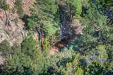3.5 Acre Lot Camino Del Canon - Photo 32