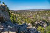 3.5 Acre Lot Camino Del Canon - Photo 36