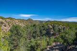 3.5 Acre Lot Camino Del Canon - Photo 38