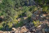 3.5 Acre Lot Camino Del Canon - Photo 41