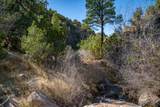 3.5 Acre Lot Camino Del Canon - Photo 45