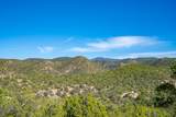3.5 Acre Lot Camino Del Canon - Photo 51