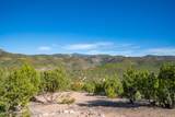 3.5 Acre Lot Camino Del Canon - Photo 53