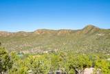 3.5 Acre Lot Camino Del Canon - Photo 56