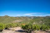 3.5 Acre Lot Camino Del Canon - Photo 57
