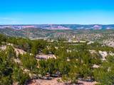 3.5 Acre Lot Camino Del Canon - Photo 7