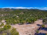 5.9 Acre Lot Camino Del Canon - Photo 11