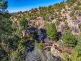 5.9 Acre Lot Camino Del Canon - Photo 13